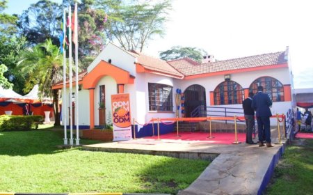 ODM Given 7 Days To Clarify Claims Of Selling Party 'At Night'