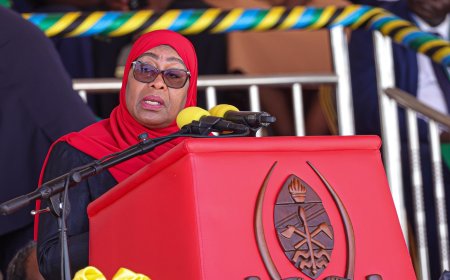Suluhu Tells Tanzanians To Stay Home During Independence Day