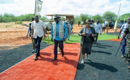 Ruto Allows Construction Of High-End Hotels In National Park Where Tourists Will Pay High Fees