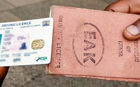 Cabinet Allows Rollout Of Second Generation Driving Licences Through PPP