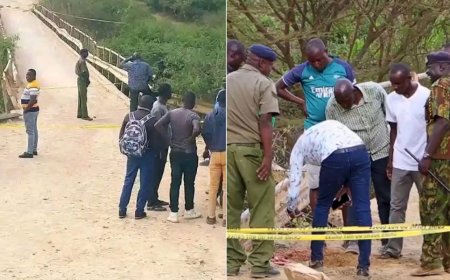 Scare As Police Find Live Explosives Along Road Day Before Ruto Tour