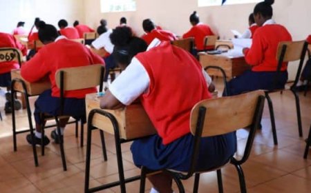 More As Than 2024: Breakdown Of Grades In 2025 KCSE Results