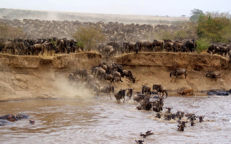 Why Court Has Not Dropped Maasai Mara Case Against Ritz-Carlton