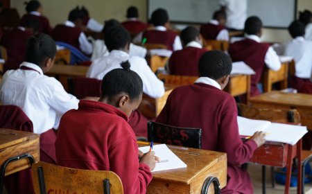 Students Not Happy With Their Grade 10 Placement Given Second Chance