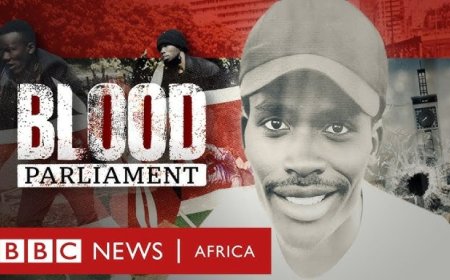 Filmmaker Behind BBC Blood Parliament Documentary Dies
