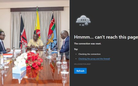 KNEC Portal Crashes After Kenyans Rush To Access KCSE 2025 Results