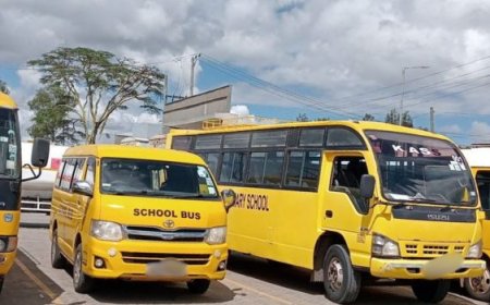 School Buses Banned From Operating Before 6am & After 6pm