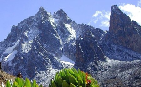 Mt Kenya Guide Who Went Missing Found Dead