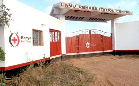 Govt Uncovers Deep Crisis Leaving 1.3 Million Kenyans In Need Of Rehabilitation