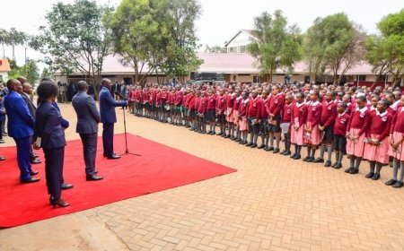 Big Win For CBC As Kenya Nears 100% School Transition Target