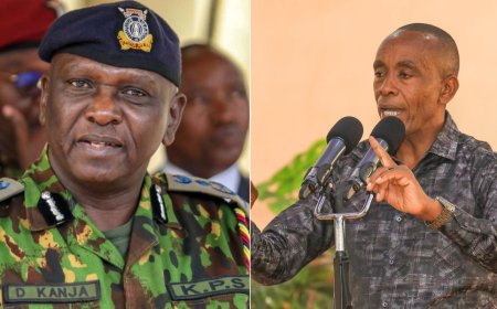 My Life Is In Danger: Wamatangi Pleads With IG Kanja