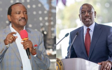 Kalonzo Turns Guns On Ruto After Arrest Of MP