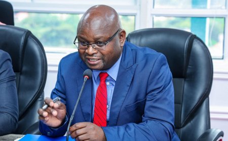 Seth Panyako Fired From Govt Post