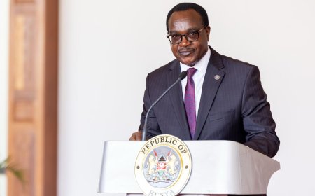 Govt Reports Teachers, School Heads To DCI After Audit Exposes Massive Scandal