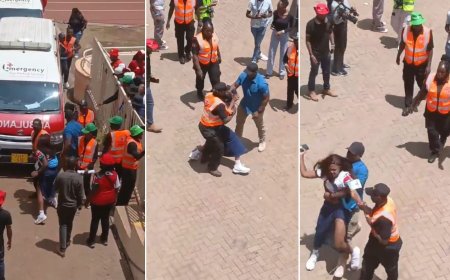 Kenya Rugby Union Explains Viral Incident Of Female Journalist Harassed At HSBC SVNS 2