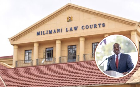 Court Frees University Student Arrested For Predicting Ruto's Death