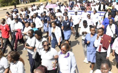 Govt Revisits Plan To Abolish Permanent & Pensionable Jobs For Civil Servants