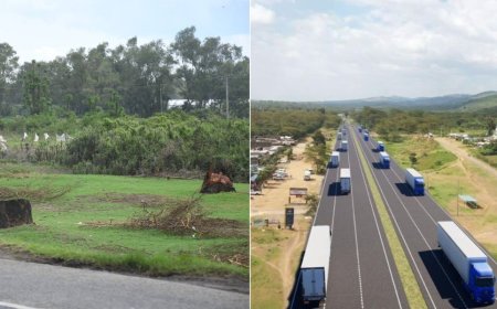 KeNHA Commits To Plant Trees To Replace Those Cut Down During Rironi-Mau Summit Expansion