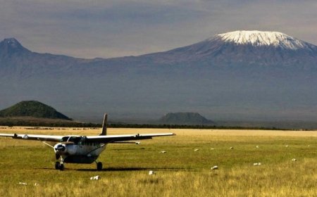 Flights To Amboseli National Park Diverted After Main Airstrip Closed Over Floods