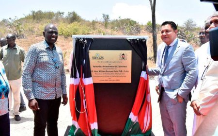 Rostam Azizi Comes Clean On Relationship With Ruto After Nation Media Group Takeover