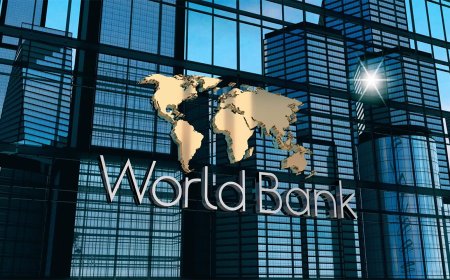 Kenyan Firms Among 3 Banned By World Bank Over Ksh149.8 Billion Fraud Scheme