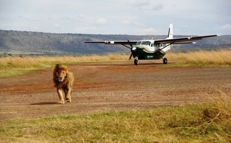 President Ruto Announces Maasai Mara International Airport Completion Date