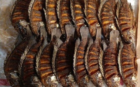Eating This Fish Can Kill You: KWS Warns Kenyans As Senate Issues Orders