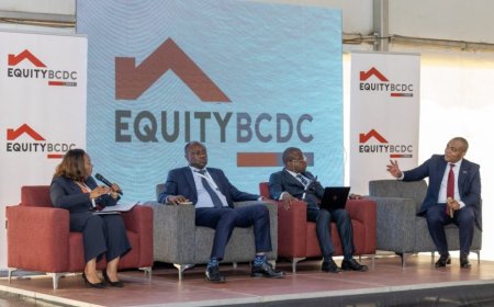 Investors Explore Business Opportunities in DRC Trade Mission