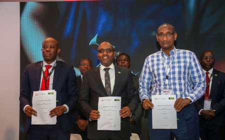 KCB Signs Major Deals to Unlock Ksh150 Billion Leather Industry Potential