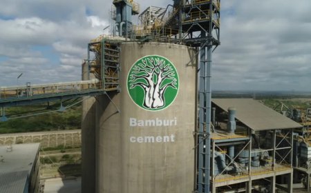 Bamburi Cement Appoints New CEO Amid Multi-Billion Expansion Plans