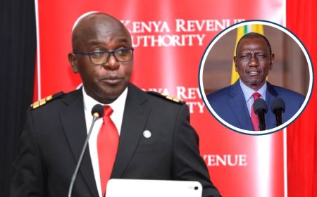 Ruto Picks Humphrey Wattanga For Diplomatic Job Moments After KRA Exit
