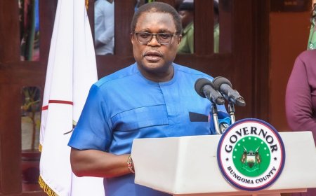 Why Governor Lusaka Fired His Entire Cabinet