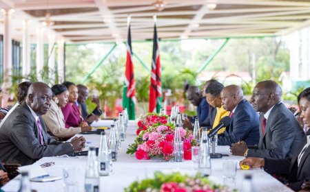 Ruto, ODM Agree To Form Broad-Based Committee After State House Meeting
