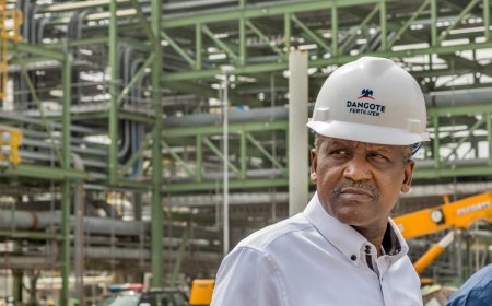 Dangote Plans East Africa Oil Refinery, Sets Condition for Ruto & Museveni