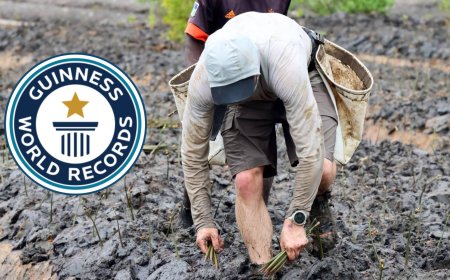 Guinness World Record Holder Targets 40,000 Trees Planted In 24 Hours In Mombasa