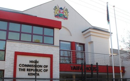 Kenya Issues Advisory To Its Citizens Living In South Africa Amid Surprise Protests
