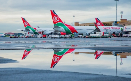 Kenya Airways Flies In Yemi Alade, Fally Ipupa for Major Kasarani Concert Backed by Ruto, Macron
